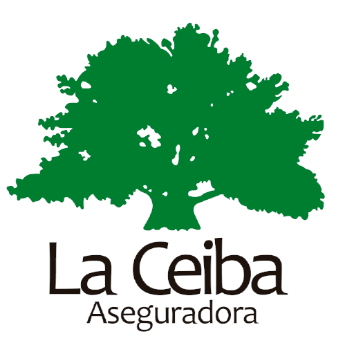 Aseguradora 13
